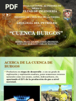 Cuenca Burgos Geología Del Petróleo