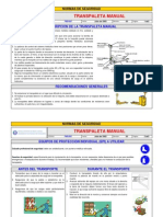 FNS 007 Transpaleta Manual