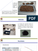 Obtención de Carbon Activado A Partir de Piñas de Eucalipto