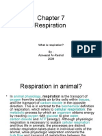 Introduction To Respiration