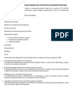 Lineamientos para La Elaboración de Informe Final de Prácticas de Desempeño Profesional