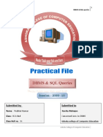 Practical File SQL Queries & DBMS