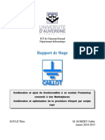 Rapport Stage PDF