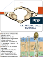 Vertebras