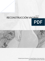 Reconstrucción Vaginal. Ultima Version