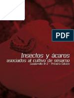 Insectos Asociados Al Cultivo de Sesamo