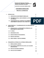 Asentamientos Irregulares Impactos y Alternativas