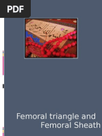 Femoral Sheath and Femoral Triangle