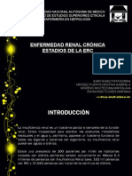 EXPO NEFRO (Enfermedad Renal Cronica) Y ESTADIOS)