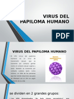 Virus Del Papiloma Humano Diapos