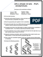 Making A Model of DNA Instructions