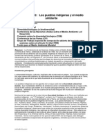 Derecho de Los Pueblos Indigenas