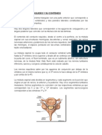 Conducto Raquideo y Su Contenido Medula Espinal Morfologia Nervios Raquideos Puncion Lumbar