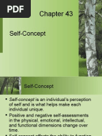 Self Concept