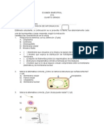 Examen Bimestral IIIB