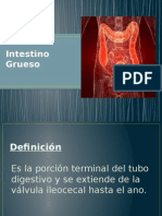 INTESTINO GRUESO Exposicion 