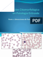 Morfologia de Hematologia