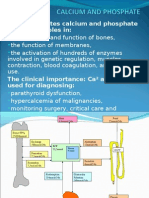 Calcium and Phosphate