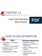 Cash Flow Estimation and Risk Analysis