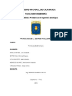 Informe Puyllucana