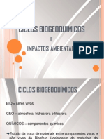 Ciclos Biogeoquímicos e Desequilíbrios Ambientais