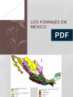  Forrajes en Mexico