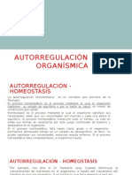 Autorregulación Organísmica