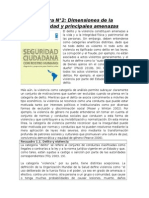 Lectura N°2: Dimensiones de La Inseguridad y Principales Amenazas