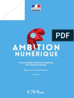 Rapport Du Conseil National Du Numérique "Ambition Numérique"