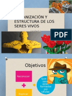 Organización y Estructura de Los Seres Vivos