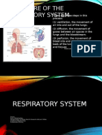 Respiratory System and Anemia