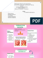 Cervicitis Aguda y Cronica