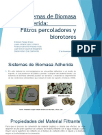 Sistemas de Biomasa Adherida