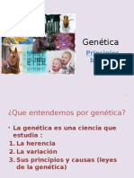 Genética