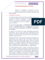 Cata y Evaluación Sensorial de Vinos