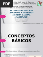 Interrogatorio Del Sistema Genital Masculino 