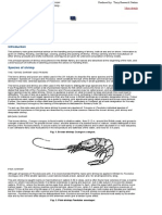 Handling and Processing Shrimp