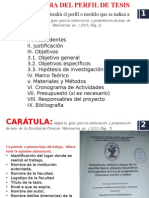 Perfil de Tesis Veterinaria