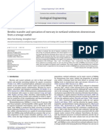 Benthic Transfer and Speciation of Mercury in Wetland Sediments Downstream From A Sewage Outfall - Duong, Han