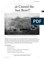 What Caused The Dust Bowl?: Overview