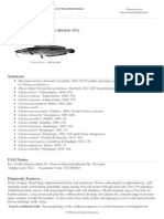 FAO Fisheries & Aquaculture - Species Fact Sheets - Clarias Gariepinus (Burchell, 1822)