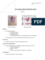 Cours Autres Flagelloses Intestinales 6 3e 12