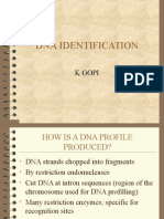 Dna Identification: K Gopi