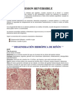 Manual de Patologia Clinica A Color Laboratorio