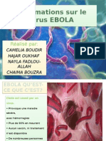 Y Information Sur Le Virus EBOLA