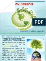 La Contaminación Ambiental