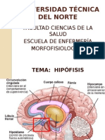 Hipofisis (Anatomia, Fisiologia, Irrigacion, Inervacion, Histologia)