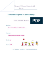 Ensayo Descriptivo PDF