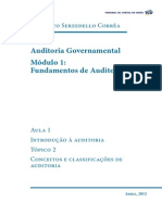 Conceitos e Classificações de Auditoria