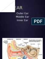 Anatomy / Physio of The Ear